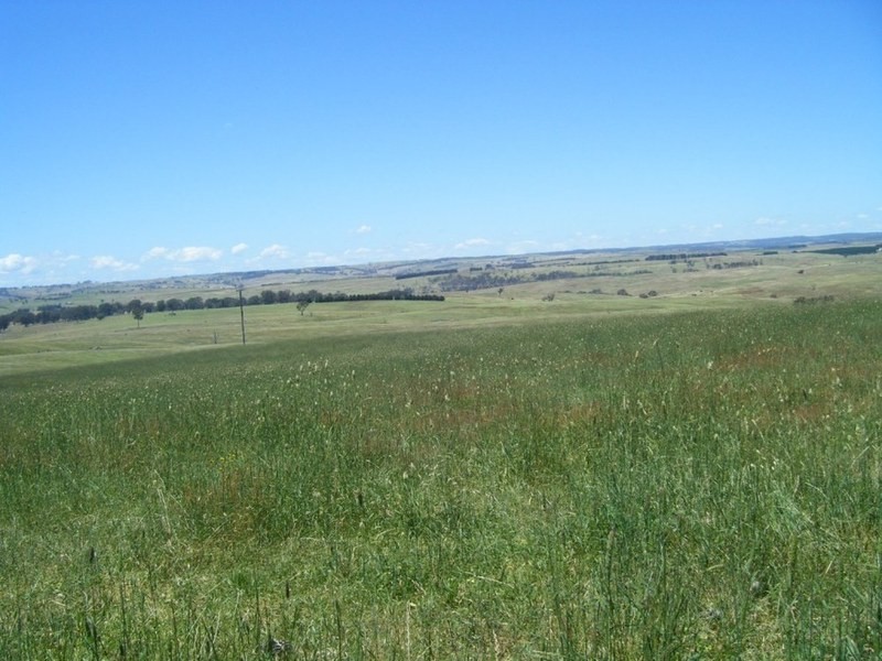 “Monks Creek” Fullerton Road, Laggan NSW 2583