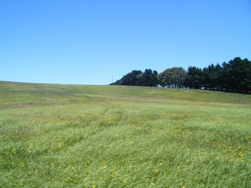 “Monks Creek” Fullerton Road, Laggan NSW 2583