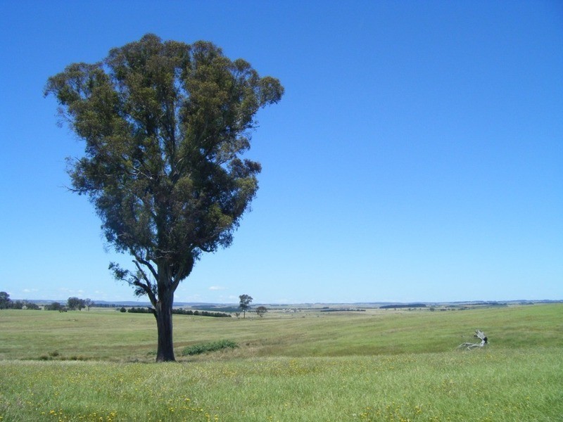 “Monks Creek” Fullerton Road, Laggan NSW 2583
