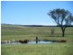 “Monks Creek” Fullerton Road, Laggan NSW 2583