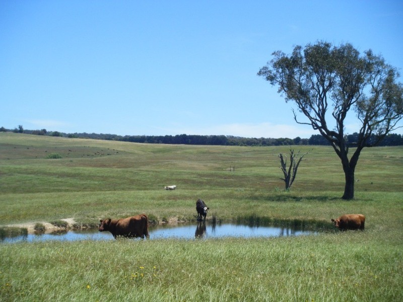 “Monks Creek” Fullerton Road, Laggan NSW 2583
