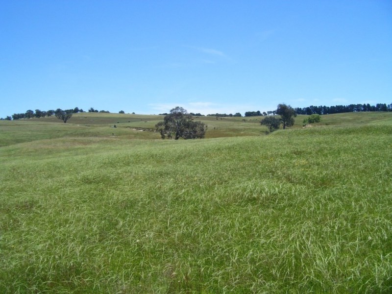 “Monks Creek” Fullerton Road, Laggan NSW 2583
