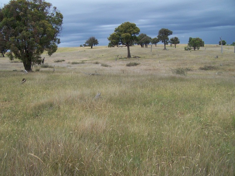 Lot 1 Bulleys Crossing Road, Gunning NSW 2581