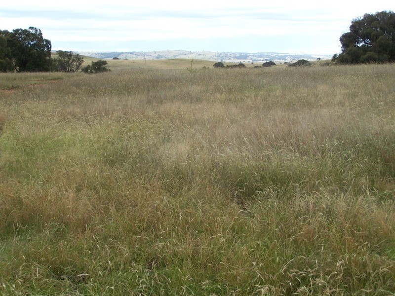 Lot 1 Bulleys Crossing Road, Gunning NSW 2581