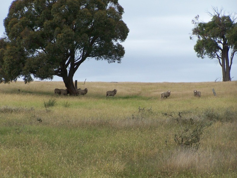Lot 1 Bulleys Crossing Road, Gunning NSW 2581