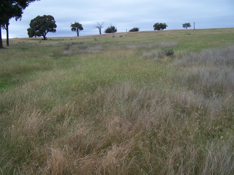 Lot 1 Bulleys Crossing Road, Gunning NSW 2581
