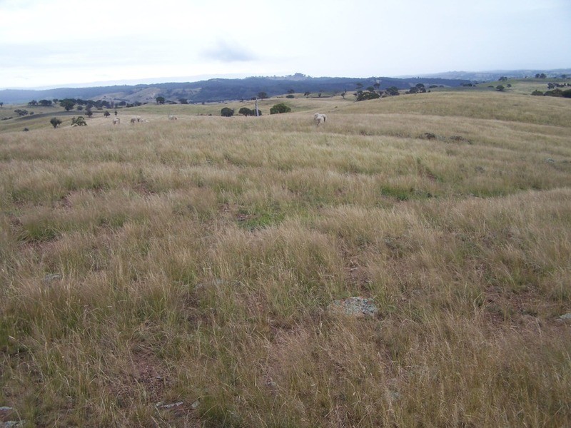 Lot 1 Bulleys Crossing Road, Gunning NSW 2581