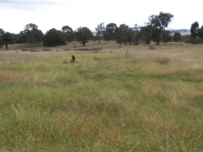 Lot 1 Bulleys Crossing Road, Gunning NSW 2581