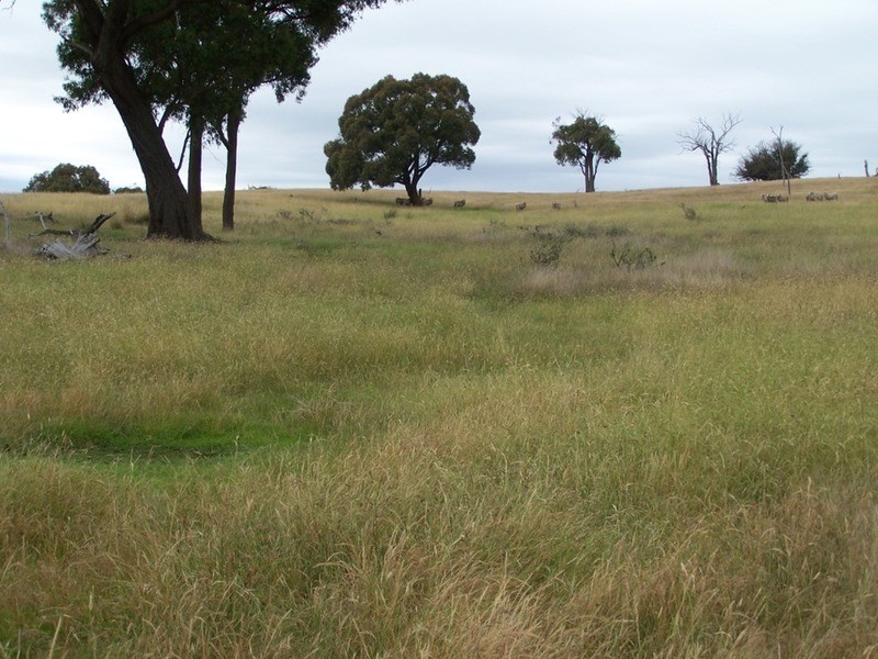 Lot 1 Bulleys Crossing Road, Gunning NSW 2581