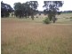 Lot 1 Bulleys Crossing Road, Gunning NSW 2581