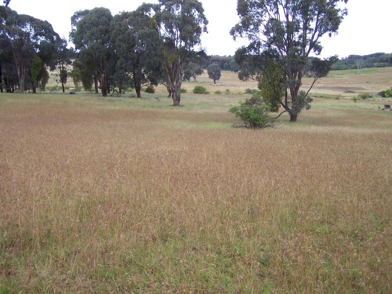 Lot 1 Bulleys Crossing Road, Gunning NSW 2581