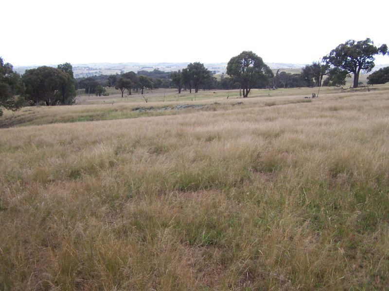 Lot 1 Bulleys Crossing Road, Gunning NSW 2581