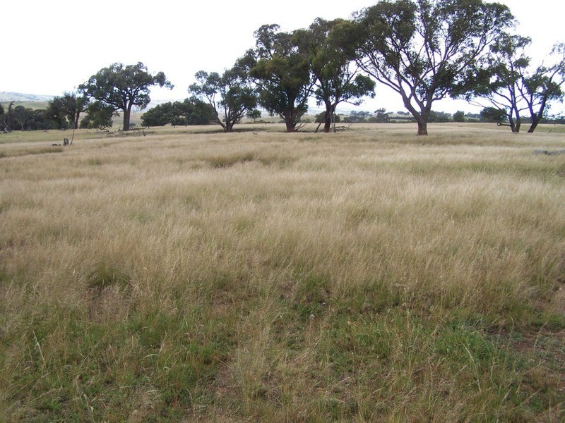 Lot 1 Bulleys Crossing Road, Gunning NSW 2581