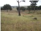 Lot 1 Bulleys Crossing Road, Gunning NSW 2581