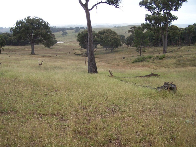 Lot 1 Bulleys Crossing Road, Gunning NSW 2581