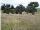 Lot 1 Bulleys Crossing Road, Gunning NSW 2581