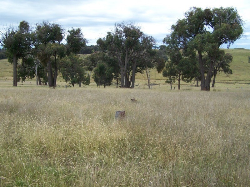 Lot 1 Bulleys Crossing Road, Gunning NSW 2581