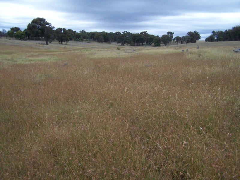 Lot 1 Bulleys Crossing Road, Gunning NSW 2581