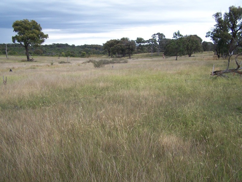 Lot 1 Bulleys Crossing Road, Gunning NSW 2581