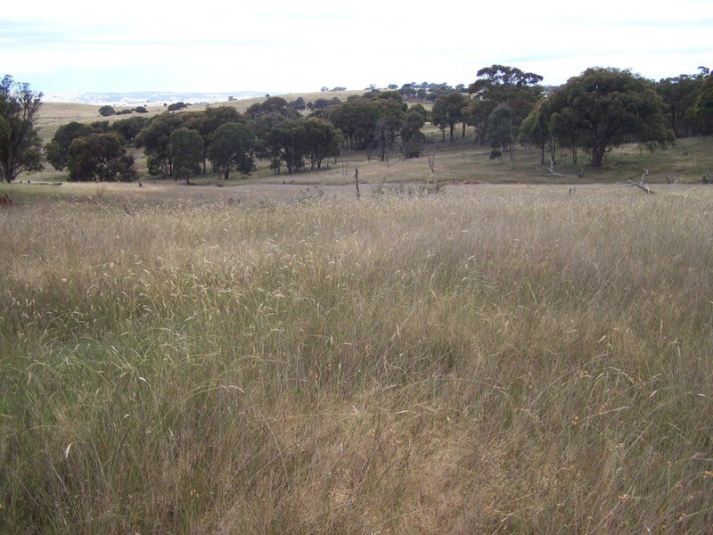 Lot 1 Bulleys Crossing Road, Gunning NSW 2581