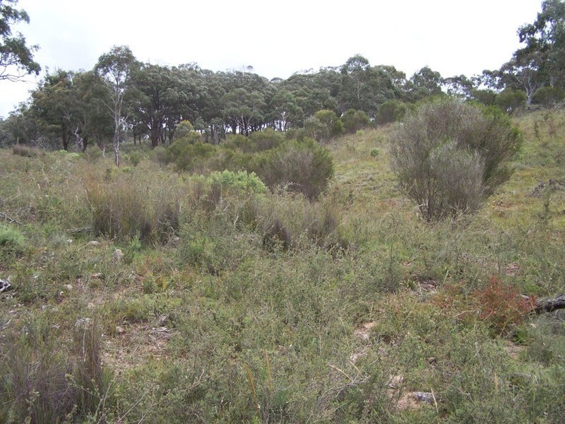 1301 Mountain Ash Road, Goulburn NSW 2580