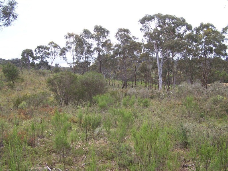 1301 Mountain Ash Road, Goulburn NSW 2580