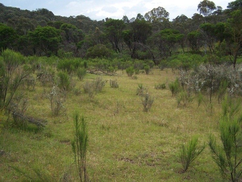 1301 Mountain Ash Road, Goulburn NSW 2580