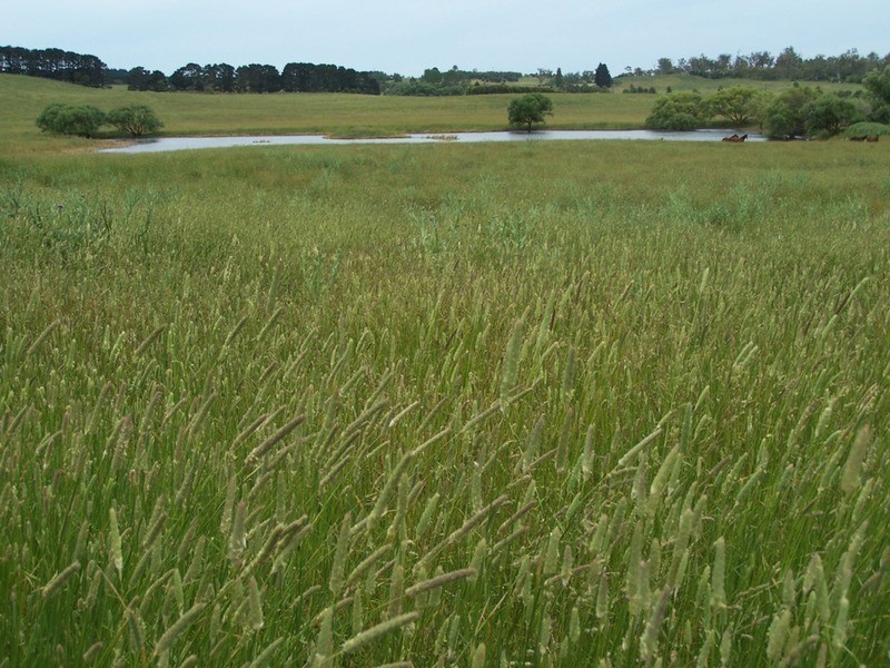 103 Third Creek Road, Crookwell NSW 2583