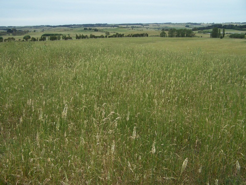 103 Third Creek Road, Crookwell NSW 2583