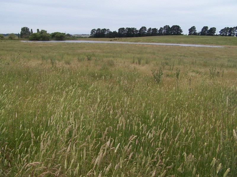 103 Third Creek Road, Crookwell NSW 2583