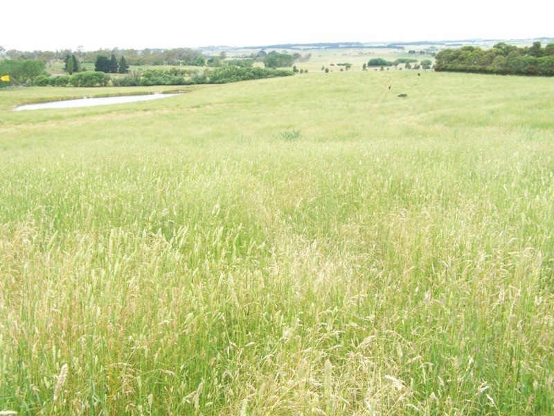 103 Third Creek Road, Crookwell NSW 2583