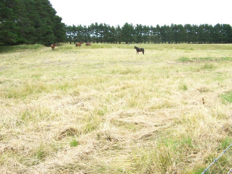 103 Third Creek Road, Crookwell NSW 2583