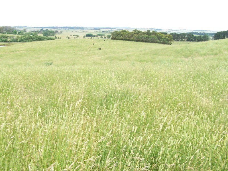 103 Third Creek Road, Crookwell NSW 2583