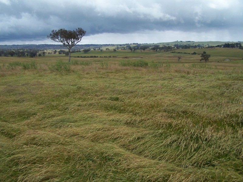 “GLENCOE” 1757 Binda Road, Binda NSW 2583