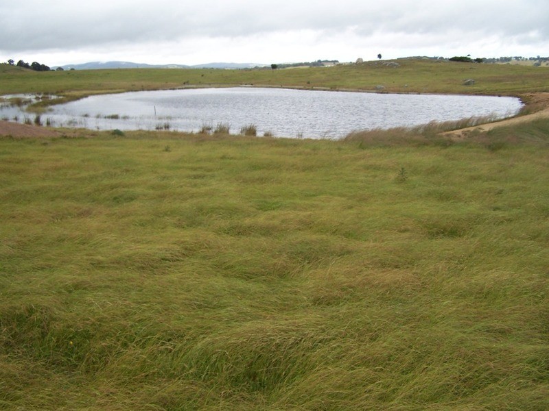 “GLENCOE” 1757 Binda Road, Binda NSW 2583