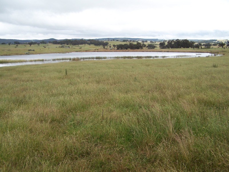 “GLENCOE” 1757 Binda Road, Binda NSW 2583