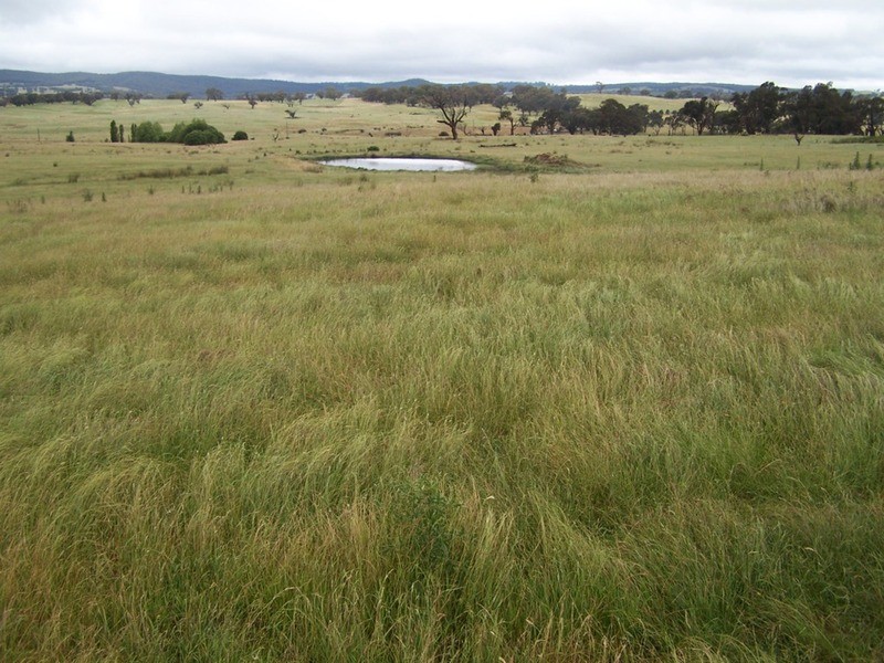 “GLENCOE” 1757 Binda Road, Binda NSW 2583