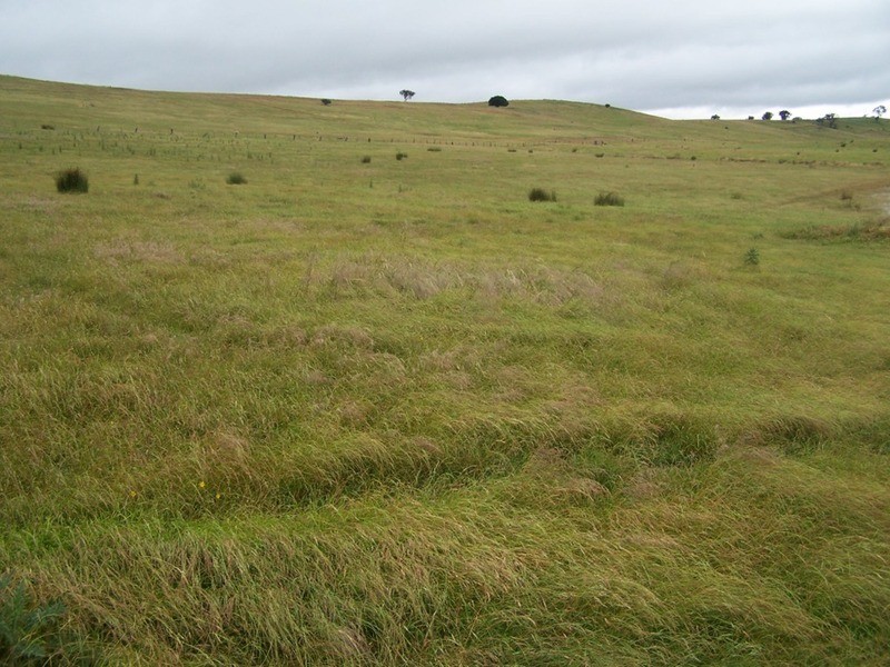 “GLENCOE” 1757 Binda Road, Binda NSW 2583