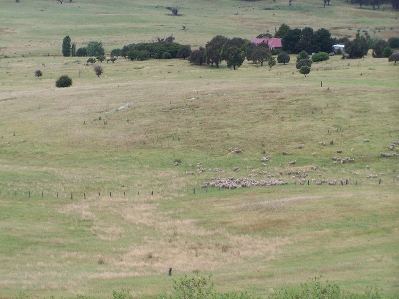 “GLENCOE” 1757 Binda Road, Binda NSW 2583