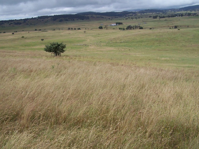 “GLENCOE” 1757 Binda Road, Binda NSW 2583