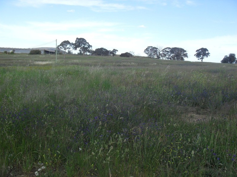Lot 3/100 Finlay Road, Goulburn NSW 2580