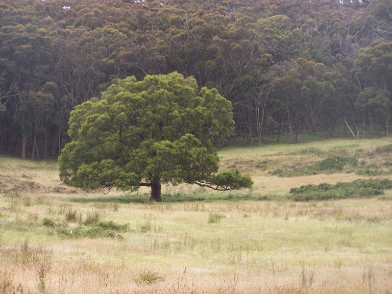 1400 Rhyanna Road, Goulburn NSW 2580