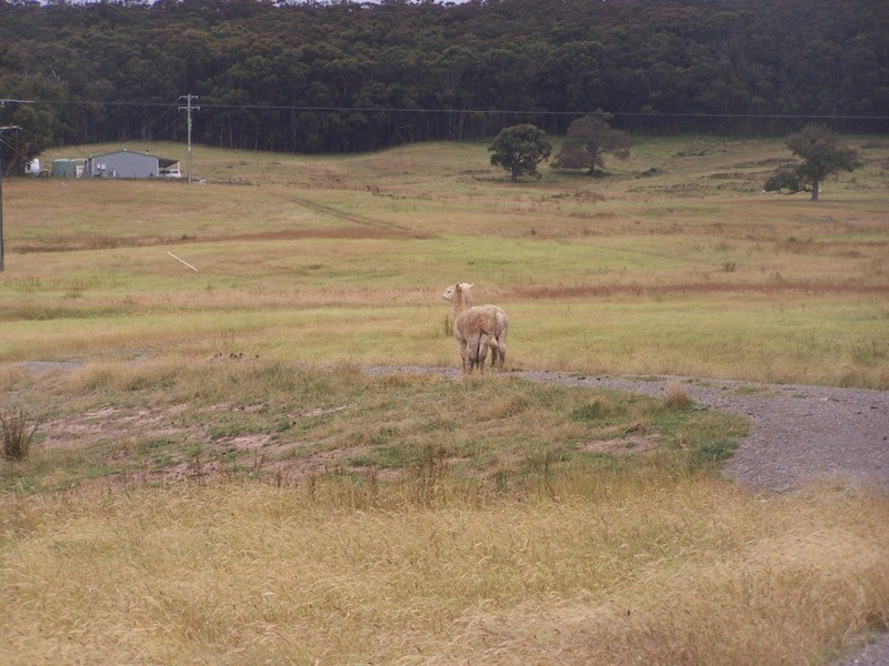 1400 Rhyanna Road, Goulburn NSW 2580