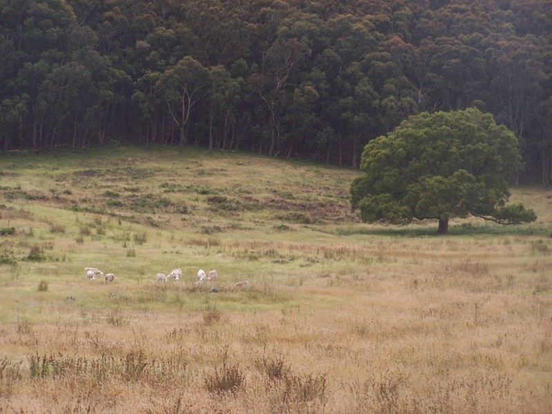 1400 Rhyanna Road, Goulburn NSW 2580