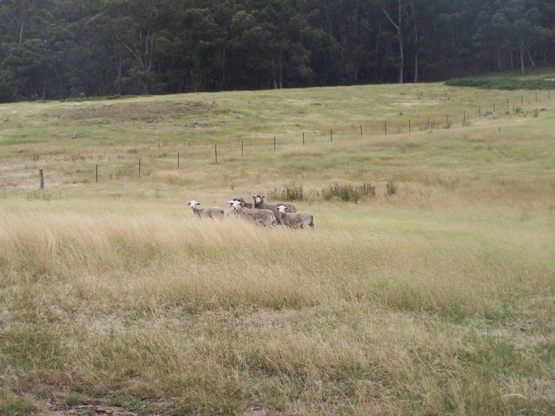 1400 Rhyanna Road, Goulburn NSW 2580