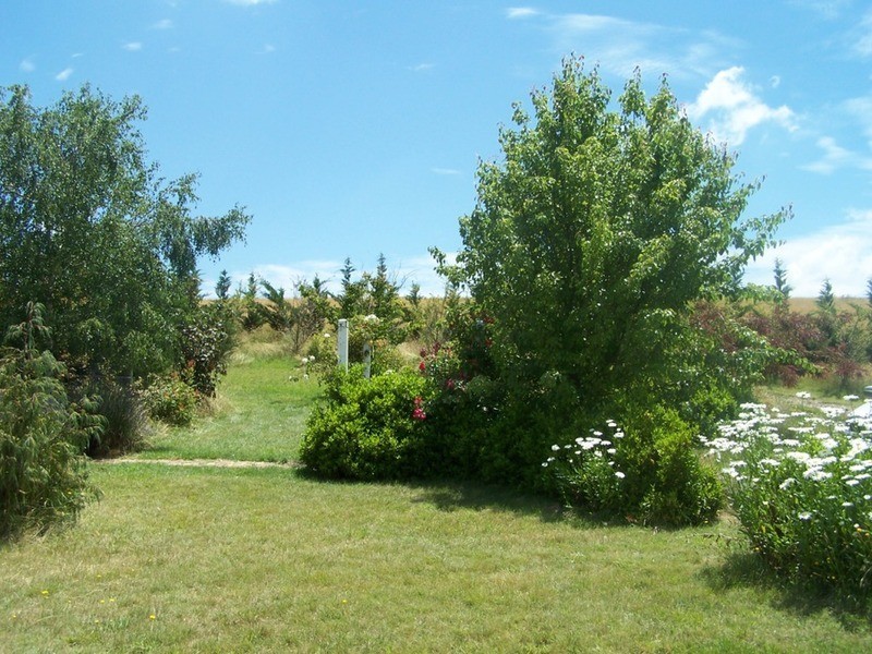 67 Hewitts Lane, Grabben Gullen NSW 2583