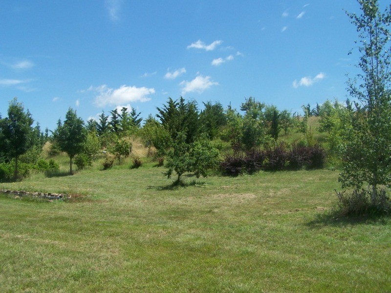 67 Hewitts Lane, Grabben Gullen NSW 2583