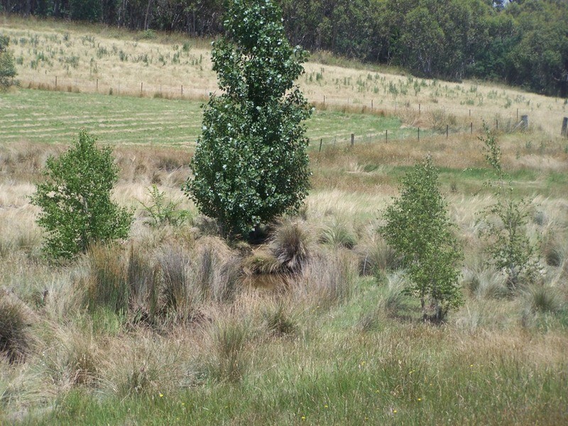 67 Hewitts Lane, Grabben Gullen NSW 2583