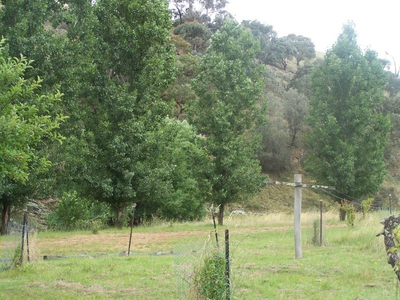 970 Levels Road, Golspie NSW 2580