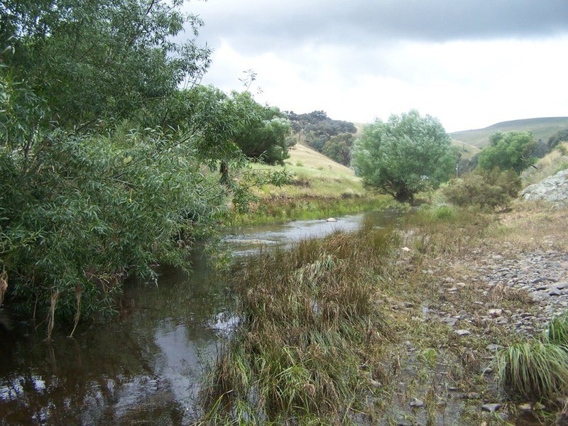 970 Levels Road, Golspie NSW 2580